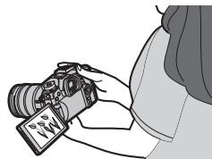 PANASONIC LUMIX G9 - Prises de vues libres - 2