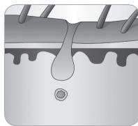 BABYLISS G933E - Ciclo di crescita del belo - 7