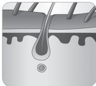 BABYLISS G933E - Håretsvækstcyklus - 6