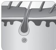 BABYLISS G933E - Rüstov cyklus chloupku - 5