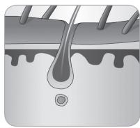 BABYLISS G933E - Ciclo di crescita del belo - 6