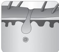 BABYLISS G933E - Håretsvækstcyklus - 7