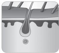 BABYLISS G933E - Ciclo de crescimento do peso - 6
