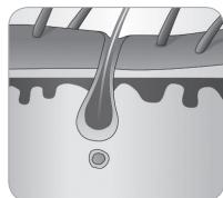 BABYLISS G933E - Tüyerin böyük döngüsse - 6