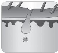 BABYLISS G933E - Häretsvekstsyklus - 4