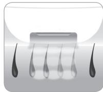 BABYLISS G933E - A ször növekedési ciklusa - 3