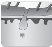 BABYLISS G933E - A ször növekedési ciklusa - 7