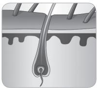 BABYLISS G933E - Ciclo di crescita del belo - 5