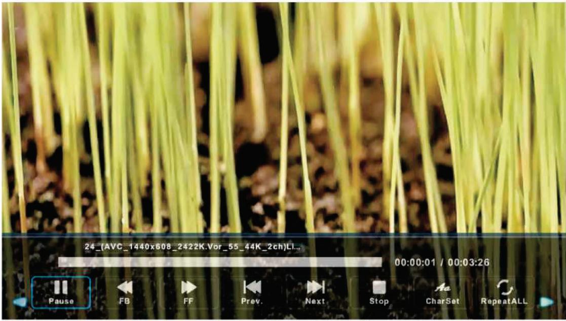 SCHNEIDER LED24-SCP100HC - Menu film - 2