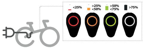 <25% >25% <50% >50% <75% >75%