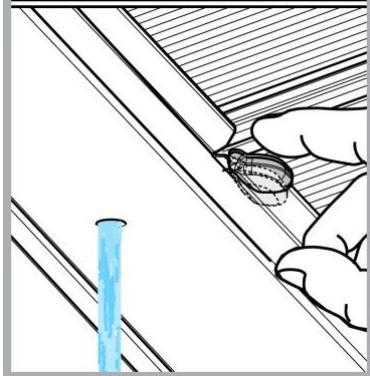 ELICA BOXIN NO DRIP - Rengoring - 2