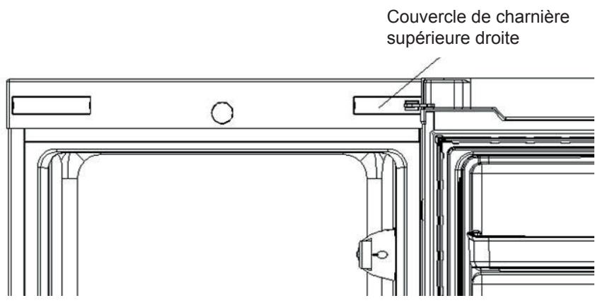 INDESIT SIAA55 - Inversion de la porte pivotante - 1