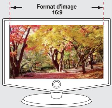 SAMSUNG VP-MX20 - Flexibilité de l'enregistrement et de l'affichage grâce à la prise en charge des formats 4:3 et 16:9. - 1