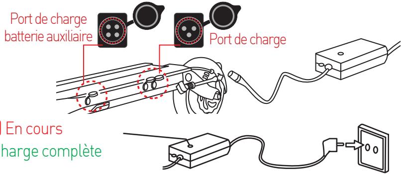 MINIMOTOR DUALTRON MINI 17,5A - 1) Recharge classique - 1