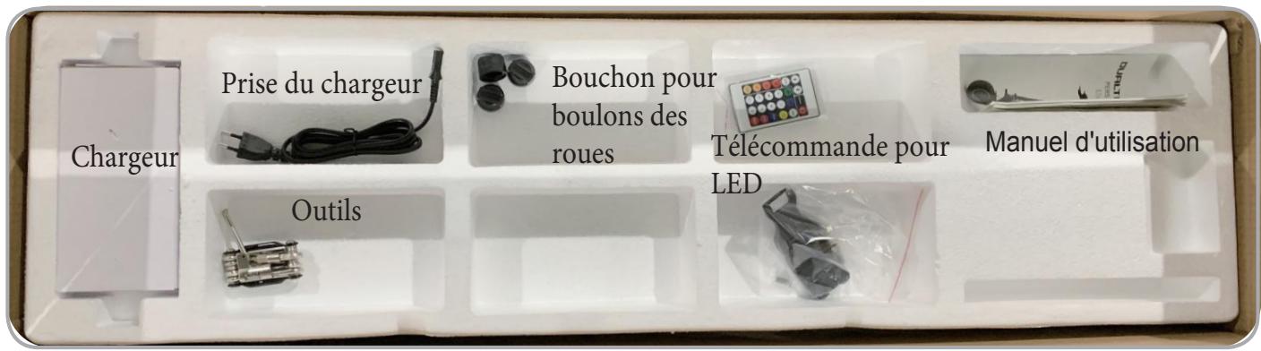 MINIMOTOR DUALTRON MINI 17,5A - Dimension du produit - 2