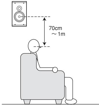 MARANTZ SR3001 - Enceintes d'ambiance gauche et droite et enceinte surround arrière - 1