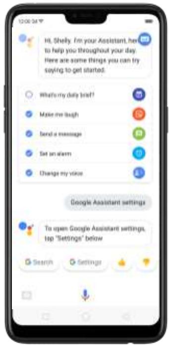 OPPO Find X - Paramètres de l'assistant google : - 1