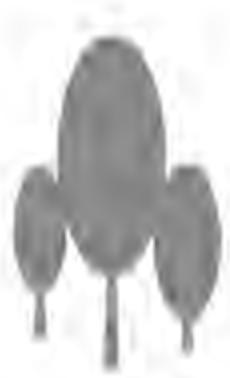 DII SPARK BLANC - Utilisation du système optique - 2