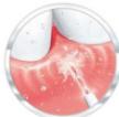THOMSON TH3HYDROWATERPIKHYDROPULSEURWATERFLOSSERIRRIGADORIRRIGADORPy - Modos Diferentes - 3