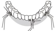 THOMSON TH3HYDROWATERPIKHYDROPULSEURWATERFLOSSERIRRIGADORIRRIGADORPy - Modes différents - 1
