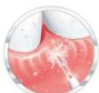 THOMSON TH3HYDROWATERPIKHYDROPULSEURWATERFLOSSERIRRIGADORIRRIGADORPy - Different Modes - 3