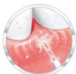 THOMSON TH3HYDROWATERPIKHYDROPULSEURWATERFLOSSERIRRIGADORIRRIGADORPy - modos differentes - 3