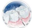 THOMSON TH3HYDROWATERPIKHYDROPULSEURWATERFLOSSERIRRIGADORIRRIGADORPy - Different Modes - 1