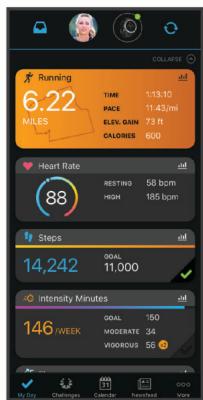CTW INSMARTWATCHVENU2SILVER - Garmin connect - 1