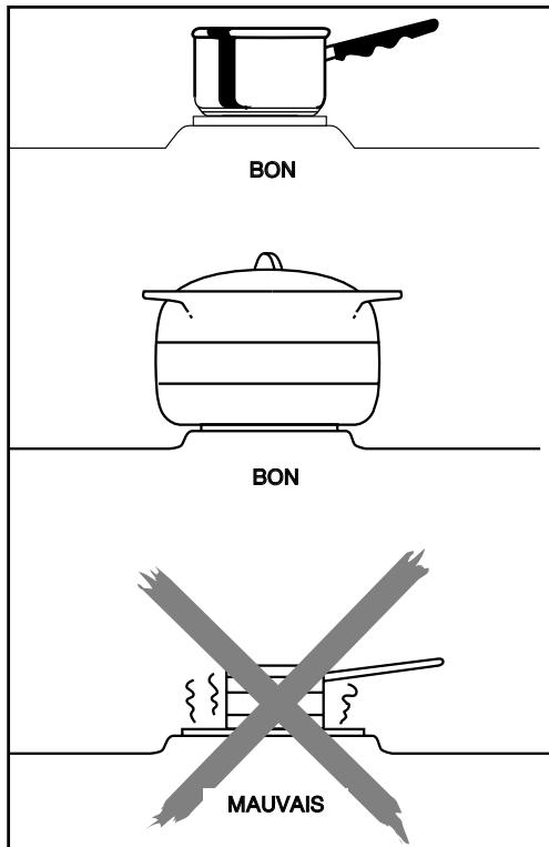 DE DIETRICH DCM 950X - - Conseils pour utiliser la plaque fonte (suivant modèle) - 3