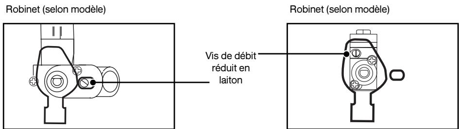 DE DIETRICH DCM 950X - Changement de gaz - 1