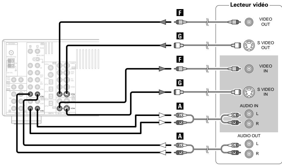 DENON AVR 2106 - Connexion d'un magnétoscope - 1