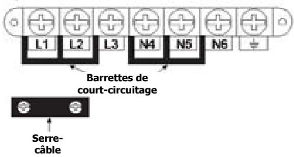 STOVES PRiCH110EiiCY - Branchement de l'alimentation électrique - boitier à BORNES - 1