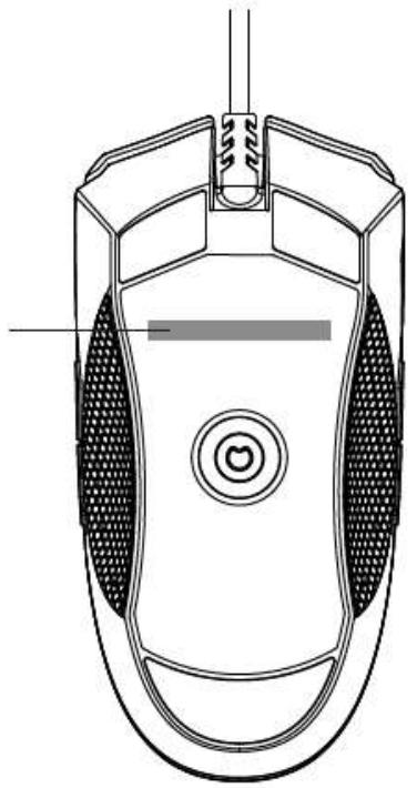RAZER DIAMONDBACK - ENREGISTREMENT - 1