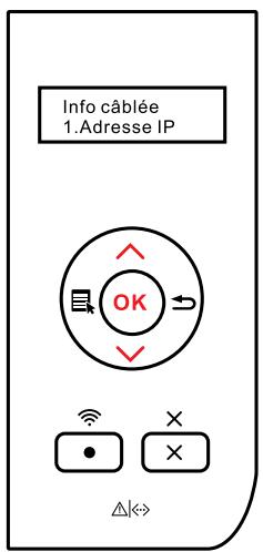 PANTUM P3500DN - Informations de réseau - 2