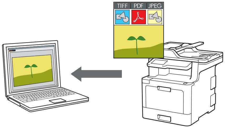 BROTHER MFC-L8690CDW - Numériser des photos et des graphiques - 1