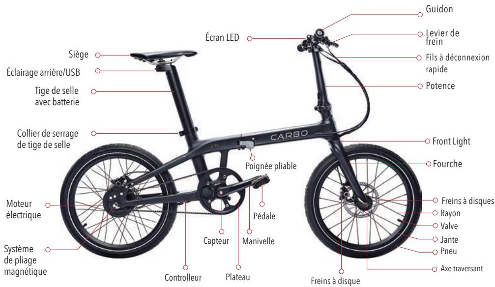 CARBOVELO X250W - SCHEMA Des PIECES - 1