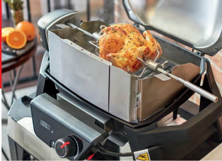 WEBER PULSE 1000 noir - PIECES De rechange - 3