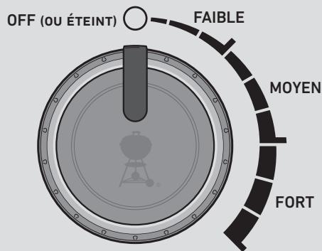 WEBER PULSE 1000 noir - Cuisson à double zone - 1