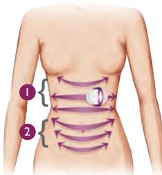 SILK SILH101001 - VENTRE - 1