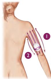 SILK SILH101001 - VENTRE - 2