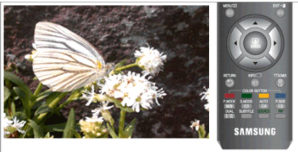 SAMSUNG T260HD - Rétroéclairage - 1