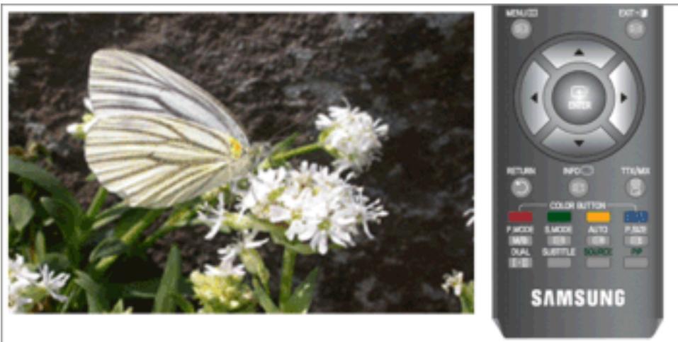 SAMSUNG T260HD - Écran bleu PTDECH - 1