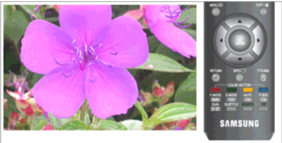 SAMSUNG T260HD - Options d'image - 2