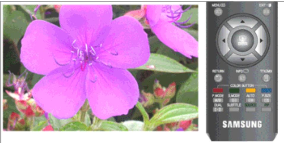 SAMSUNG T260HD - Réglage automatique - 1