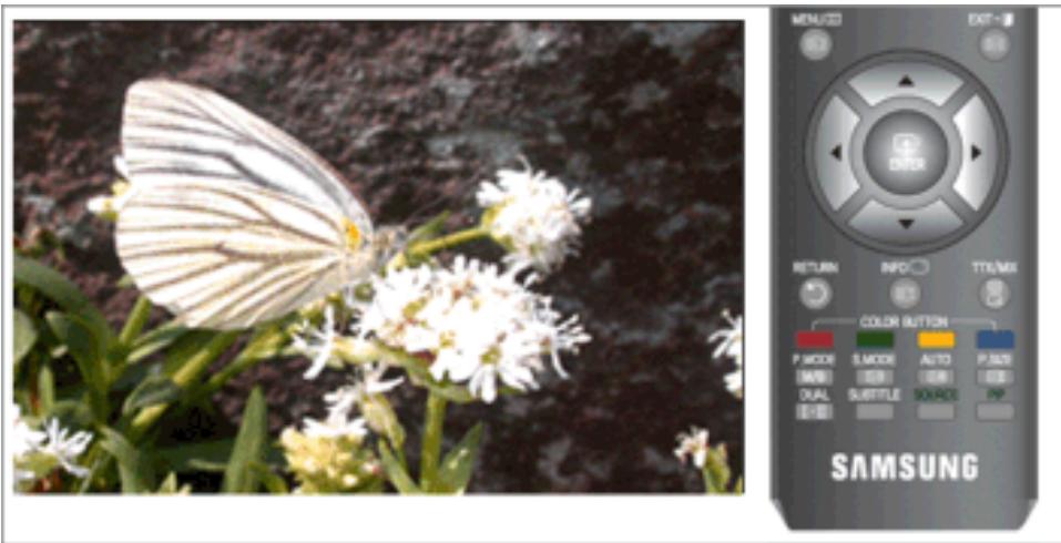 SAMSUNG T260HD - Taille - 1