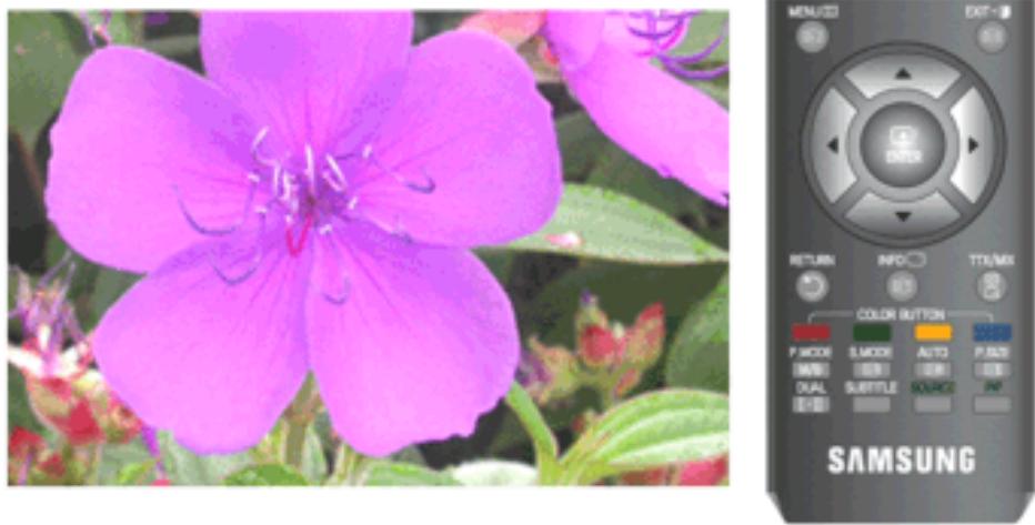 SAMSUNG T260HD - Écran (disponible en mode PC uniquement) - 2