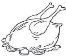 THOMSON CTH331 - Gevogelte - 1