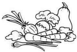 THOMSON CTH331 - Verse groente en fruit - 2