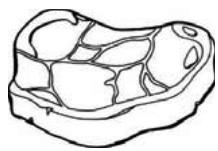 THOMSON CTH331 - Fish and seafood - 1