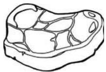 THOMSON CTH331 - Vande rouge - 2